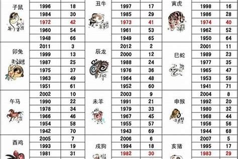 93年生肖|1993年属相是什么 1993年出生是什么命